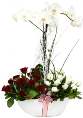 Tek dal beyaz orkide 8 beyaz 8 krmz gl Ankara Taurus AVM iekiler iek sat