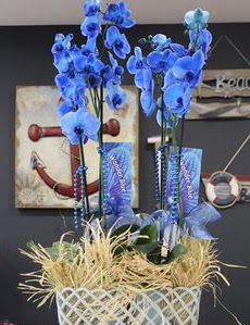 4 dall zel mavi orkide Ankara Arcadium Alveri Merkezi AVM iek siparii