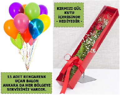 15 Adet uan balon ve kutuda krmz gl Ankara Kzlay Alveri Merkezi AVM iek ieki , iekilik 